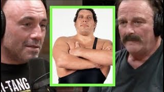 Joe Rogan  Jake The Snake on Andre the Giant [upl. by Ris]