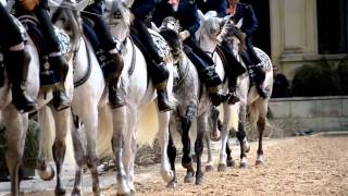 Cómo bailan los caballos andaluces [upl. by Sinnoda]