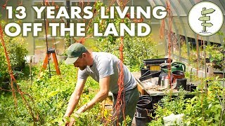 13 Years Living Off the Land  Man Shares REAL Homestead Experience [upl. by Ylehsa]