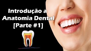 Introdução à Anatomia Dental  Faces e Divisão Anatômica dos Dentes  Parte 1 [upl. by Carman]