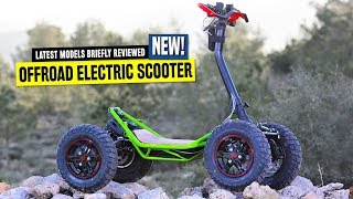 Top 8 Electric Scooters Ranked by Pricing and OffRoad Capabilities in 2020 [upl. by Flita]