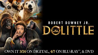 Dolittle  Trailer  Own it on Digital Bluray amp DVD [upl. by Ainedrag656]