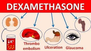 Dexamethasone tablets decadron  Mechanism side effects amp precautions [upl. by Liagibba]