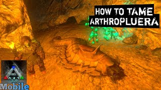 How To Tame Arthropluera Ark MobileS1E08 [upl. by Ettennahs484]