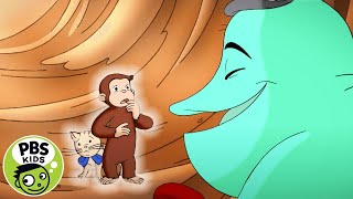 Curious George  George Learns How Germs Make You Sick  PBS KIDS [upl. by Ayk]