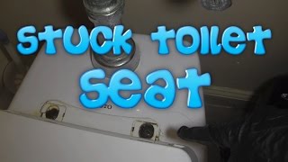 Toilet Seat Stuck [upl. by Ellertal]