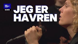 Jeg er havren  DR Pigekoret feat Mattias Kolstrup LIVE [upl. by Mirth197]