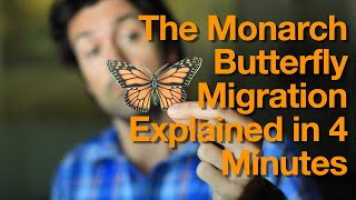 Monarch Butterfly Migration Explained in 4 Minutes [upl. by Vadnee122]