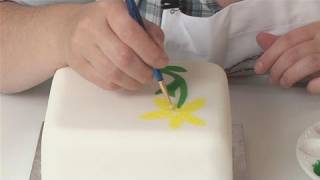 How To Paint On Your Fondant [upl. by Colet431]