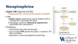 Basic Cardiovascular Pharmacology Schell [upl. by Thirzia]