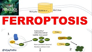 How to Build Your Own Homemade Iontophoresis Device [upl. by Leribag]