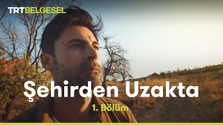 Şehirden Uzakta  Nevşehir  TRT Belgesel [upl. by Tingley]