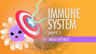 Immune System Part 1 Crash Course Anatomy amp Physiology 45 [upl. by Eniamrej]