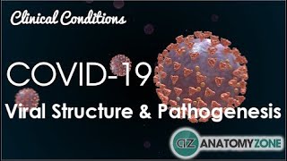 Coronavirus COVID19  Viral Structure amp Pathogenesis [upl. by Solracnauj]