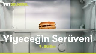 Yiyeceğin Serüveni  Dondurulmuş Gıdalar  TRT Belgesel [upl. by Nelyahs482]