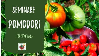 Seminare i pomodori ecco come e quando Tutorial completo [upl. by Thordia]