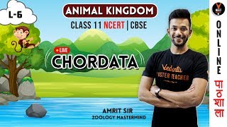 Chordata  Animal Kingdom  CBSE Class 11 Biology Chapter 4  NCERT Biology  NEET Biology [upl. by Ylac]