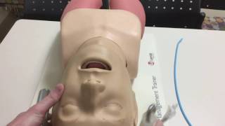 How to Intubate Manual Laryngoscopy [upl. by Lerej]