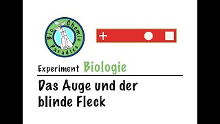 Experiment Biologie – Das Auge und der blinde Fleck [upl. by Kcirdahs564]