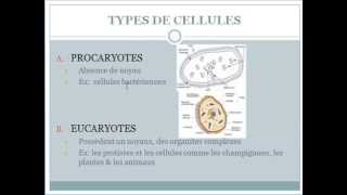 cytologie 1  la membrane cellulaire [upl. by Aicercul]