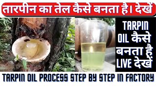 tarpin oil kaise banta haihow to made turpentine oiltarpin tel ka business kaise kare2022thinnar [upl. by Eilojne]