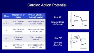 Antiarrhythmics Lesson 1  An Introduction [upl. by Eseer]