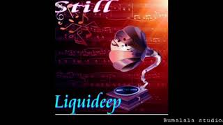 The best of Liquideep South Africa house music [upl. by Suivatra355]