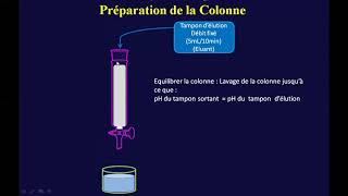 4 Chromatographie Échangeuse dIons [upl. by Alahsal]