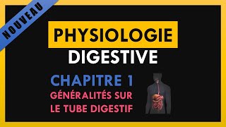 Physiologie Digestive  Chapitre 1  Généralités sur le tube digestif [upl. by Ahsined]