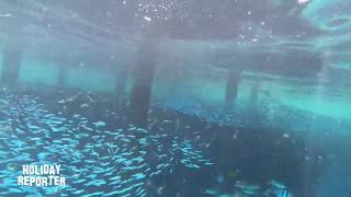 Snorkeling House Reef Brayka Bay Southside  Marsa Alam  Ägypten Gopro Black 7 Underwater [upl. by Neelac247]