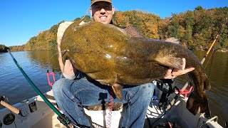 Catching BIG Catfish in TINY Boat  tips and tactics to catch more catfish [upl. by Airdna691]