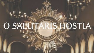 O Salutaris Hostia  Catholic Latin Hymn [upl. by Zorina]