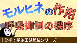 1分半で学ぶ国試勉強シリーズ「モルヒネの作用とは」呼吸抑制の機序をわかりやすく解説！ [upl. by Ahsimaj]