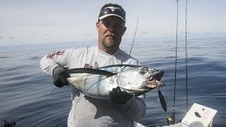 Oregon Coast Albacore Fishing With Live Bait amp Iron [upl. by Moya952]