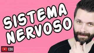 SISTEMA NERVOSO  FISIOLOGIA  Aula  Biologia com Samuel Cunha [upl. by Aphrodite66]