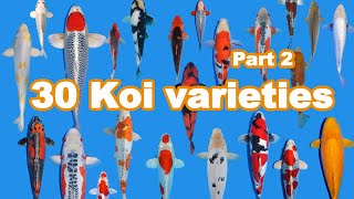 30 Koi Fish varieties types and characteristics part 2 [upl. by Maya613]