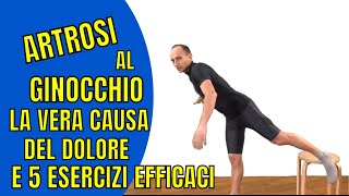 Artrosi al Ginocchio la Causa del Dolore e 5 Esercizi di Fisioterapia [upl. by Freeman965]