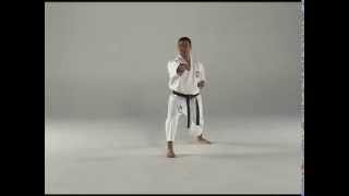 1st Kata  Taigyoku Shodan [upl. by Main]