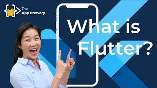 What is Flutter [upl. by Petra]