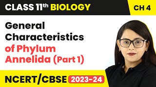 General Characteristics of Phylum Annelida Part 1  Class 11 Biology Chapter 4  NCERTCBSE [upl. by Naniac510]