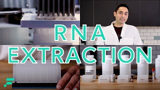 RNA Extraction Demonstration [upl. by Selokcin]