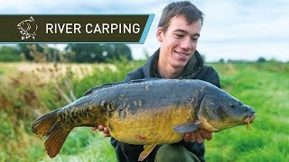 River Carp Fishing for BEAUTIFUL Carp [upl. by Tallula]