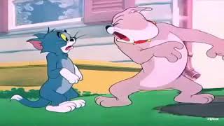 Tom and Jerry spike angry [upl. by Eus]