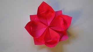 Origami  How to make a Lotus Flower [upl. by Anisah]