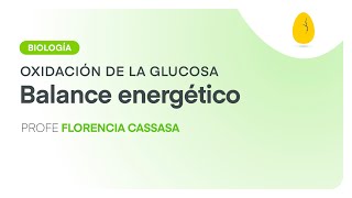 Balance energético  Biología  Oxidación de la glucosa  V7  Egg Educación [upl. by Akirdnas]