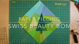 Paper Piecing  Nähen auf Papier  Anleitung  Swiss Beauty BOM [upl. by Reppart85]