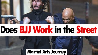 Does BJJ Work in the Street • Martial Arts Journey [upl. by Notac]