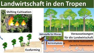 Landwirtschaft in den Tropen Zusammenfassung  Erdkunde Oberstufe Abitur [upl. by Rhodes330]