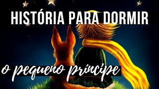 História para Dormir Pequeno Príncipe 12 [upl. by Susannah]