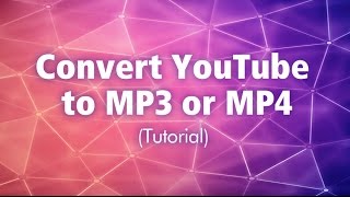 Convert YouTube to MP3 or MP4 Tutorial  AmoyShare Total Media Solution [upl. by Ultima]